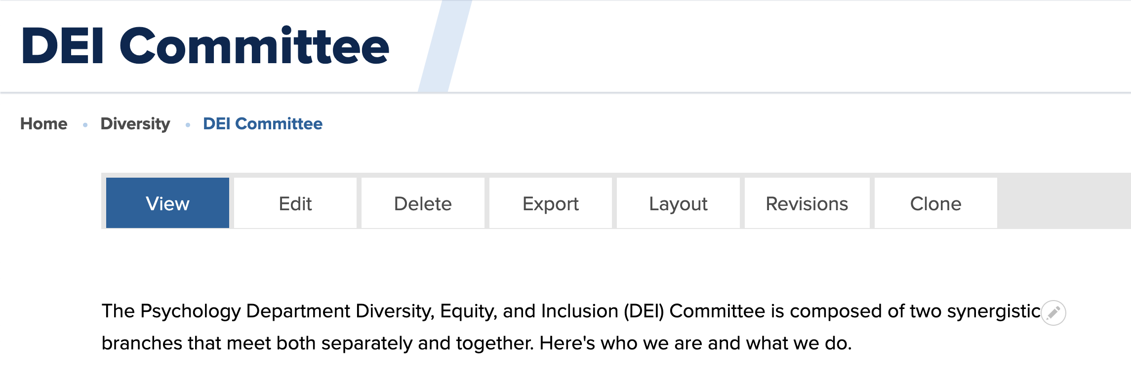 DEI Committee